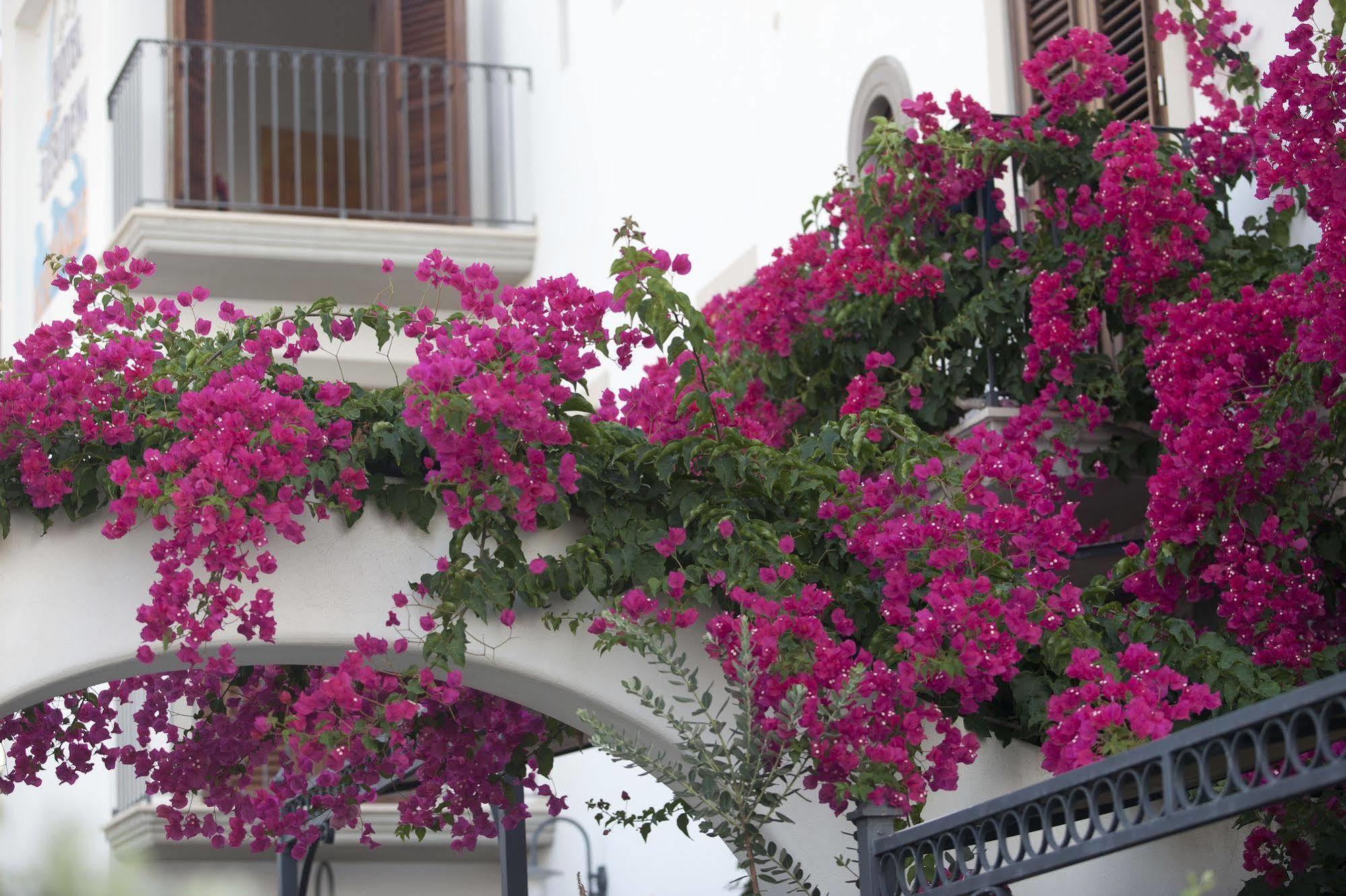Hotel Residence Acquacalda Lipari  Luaran gambar